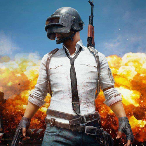 中表现出色 中表现出色